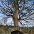 Avatar for Argaalofthemyst