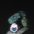 Avatar for OfficialOnsra