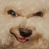 Avatar für DannyITZY
