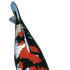 Avatar for taggi2012