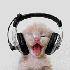 Avatar for meg1002