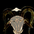 Avatar for odoom