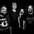 Avatar for Napalm Death