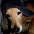 Avatar for TheRealHailey