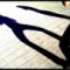 Avatar for KaasIsVies