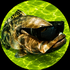 Avatar for mberkays