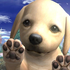 Avatar for mtosyd