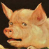 Avatar for TheLaziestRiver