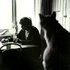 Avatar for Bert Jansch