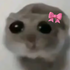 Avatar for eatmysass