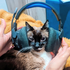 Avatar for larilovesmusic