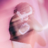 Avatar for h4n33