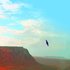 Avatar di Alpha One Omega
