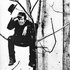 Avatar for Tom Waits