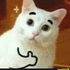 Awatar dla superkitsune