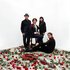 Awatar dla Exploding Flowers