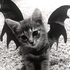 Avatar for ipanoia666