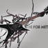 Avatar for hanka1401