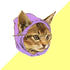 Avatar for audrey_lane