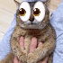 Avatar for frvhdii