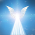 Avatar for mimadove