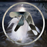 Avatar for ss0uless