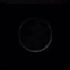 Avatar for Southernmthrfck