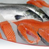 ragesalmon さんのアバター