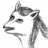 Avatar für en-gallop