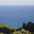 Avatar for BobGreece