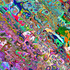 Avatar for rofletofle