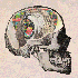 Avatar for kawazarsenem