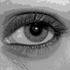 Avatar for areygnian