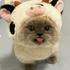 Avatar for TrapCat_