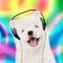 Avatar for junesfairies