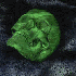 Avatar for Pandoraboru