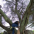 Avatar für raindaywomen024