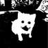 Avatar for Kobayashii_