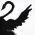 Avatar for shreyanxcl