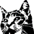 Avatar for guizzle