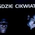 Avatar for Gdzie Cikwiaty
