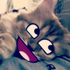 Avatar for b4rryzz1
