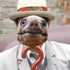 Avatar for TheCyborgZygon
