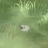 Avatar for Wynnterr_