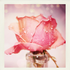 Avatar for glamrock_girl