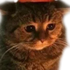 taby654 için avatar