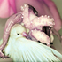 Avatar for schimmelliese
