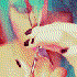 Avatar for cherryvee