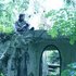 Avatar for Path Through The Mist