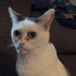 Avatar für EftzL06